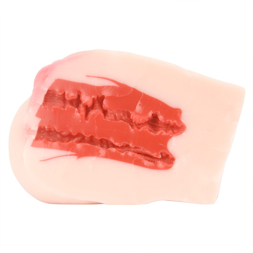2穴 極上生腰 美谷朱里画像4