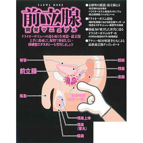 前立腺開発マニュアル画像2