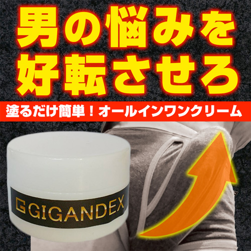 GIGANDEX画像4