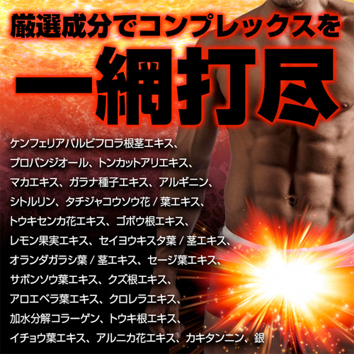 GIGANDEX画像5