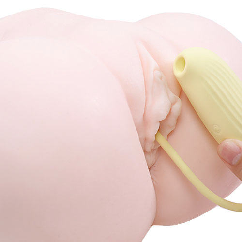 ToyCod ピピトリ画像5