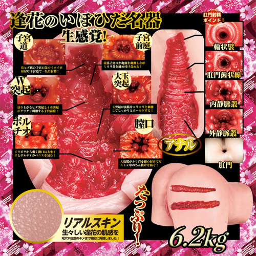 真 2穴 極上生腰 山岸逢花画像6