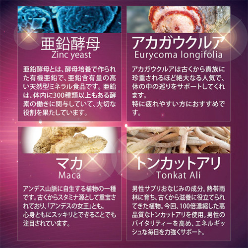 072Supplement Dobatto画像3