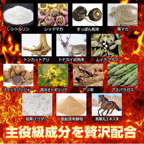 強靭錠 キョウジンジョウ画像4