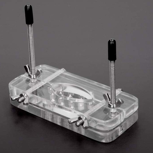 Acrylic Ball Butcher With Spikes画像2