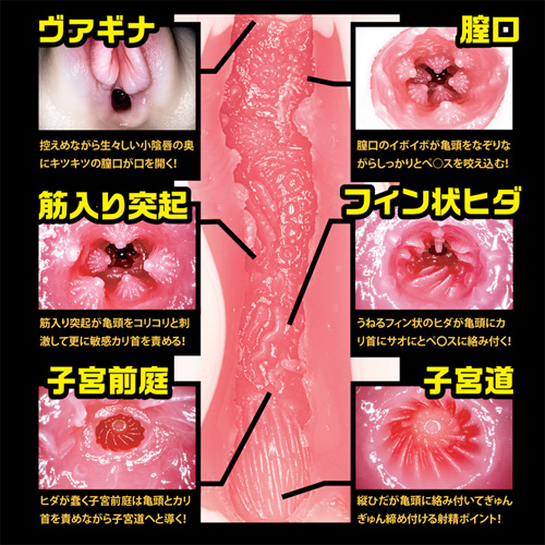 新・名器の証明 ファイルNo.003 葵つかさ画像4