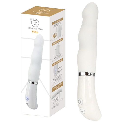 極天 kiwami ten Vibe スマートローリング