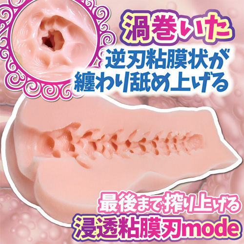 肉壁カリブレイド画像3