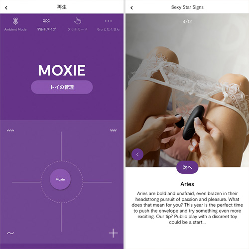 We-Vibe Moxie+ Aqua Black ウィーバイブ モクシー＋ アクア ブラック画像7