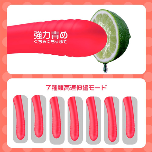ToyCod 立鳥 トイコッド タトリ画像4