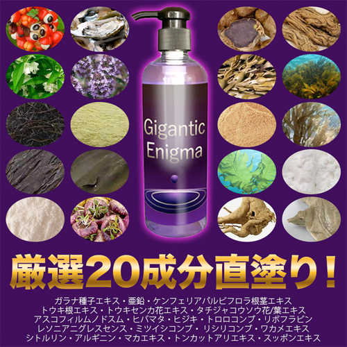 Gigantic Enigma ギガンティックエニグマ画像4