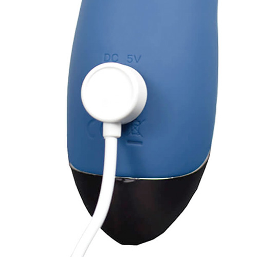 Pagos VALUE BLEU パゴスバリュー ブリュ画像4