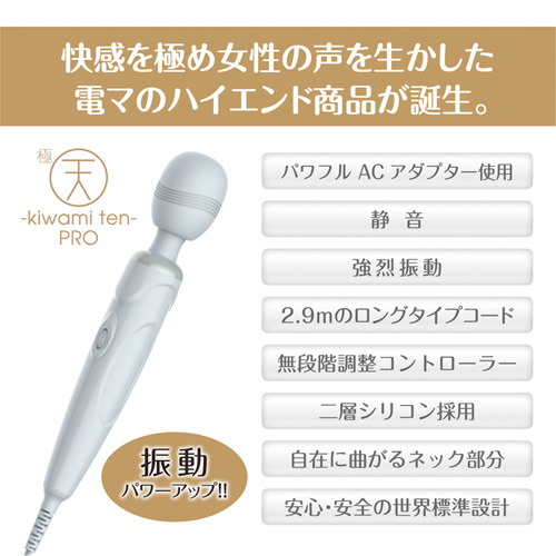 極天 kiwami ten PRO画像2