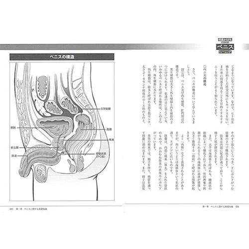 何歳からでも始められるペニストレーニング画像3
