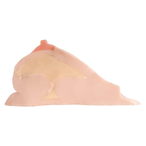 ぷるるん 天然おっぱい NEO画像7