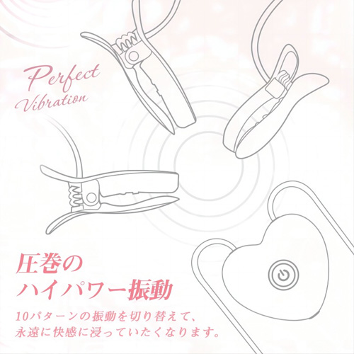 乳首クリップ 乳首開発 3つクリップの全身協奏曲 smグッズ クリ責め 乳首バイブローター画像4