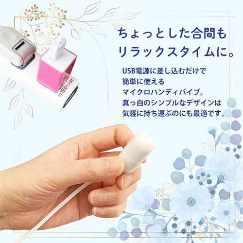 ホワイティ マイクロミニ画像4