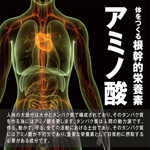 エナジーカプセル 漲 4個パック画像6