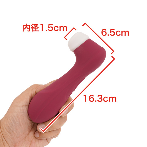 Satisfyer Pro2 G3 サティスファイヤー プロ2 G3画像2