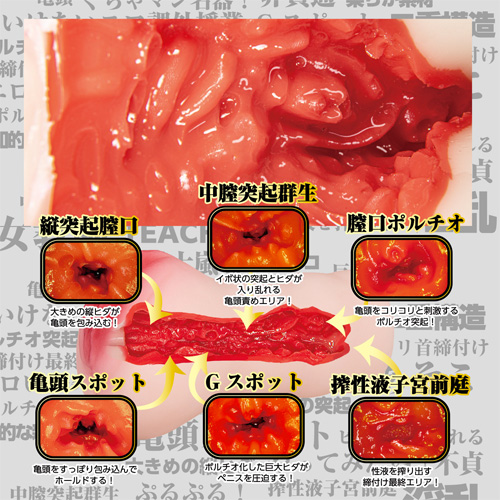 こんなすました新任女教師を犯ってみたい! 五十嵐なつ画像7