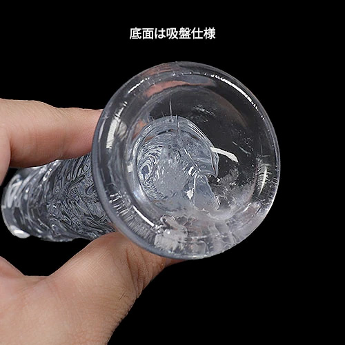 極挿画像7