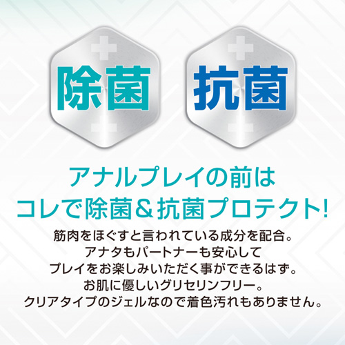 アナリリース画像3