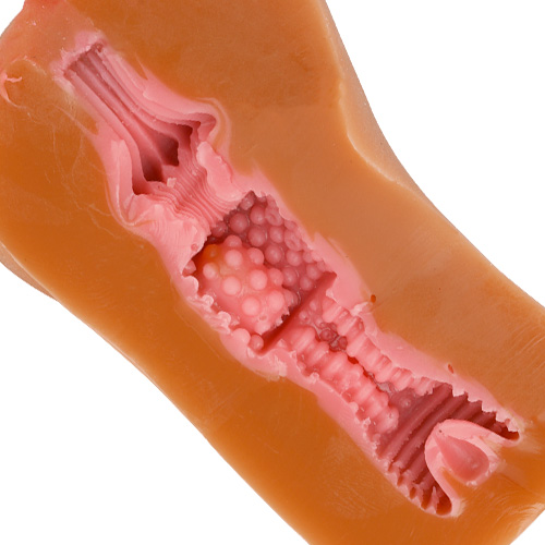 膣肉生陰唇 黒生画像7