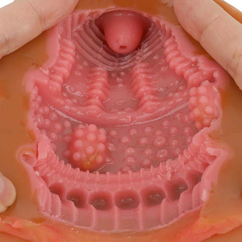 膣肉生陰唇 黒生画像6