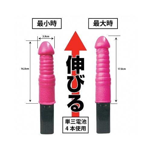 淫突 みだらづき画像2