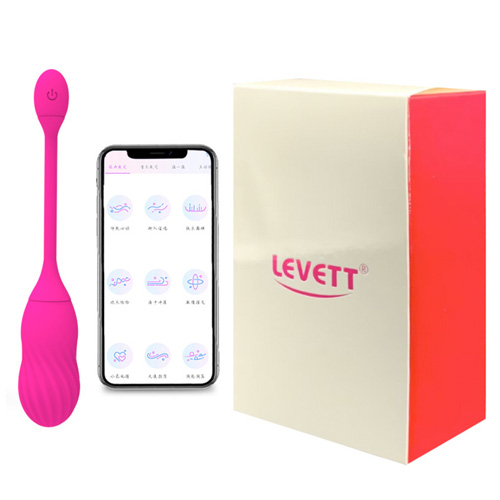 LEVETT Heca APP ローター
