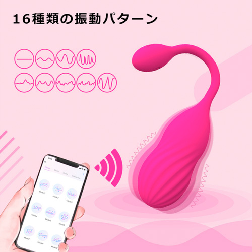 LEVETT Heca APP ローター画像5