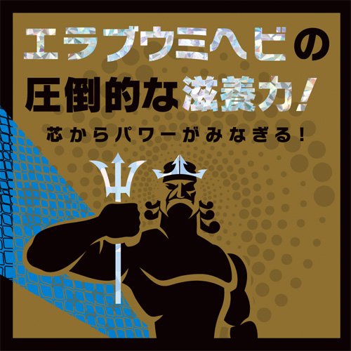ストロングＤ 海蛇 ゼリー5回分画像3