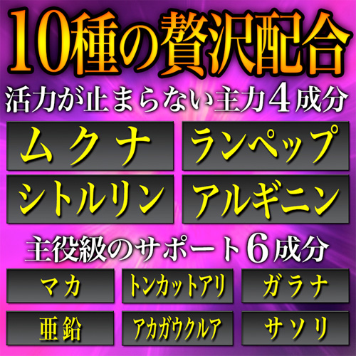DOPA-UP ドーパップ画像5