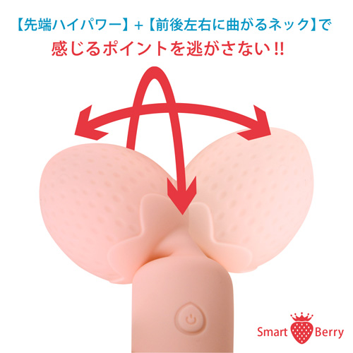 パワフルミニマ スマートベリー画像2