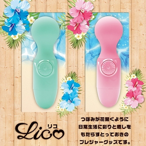 Lico リコ画像5