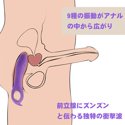 アナル開発 5種膨張×9種振動 男女兼用 調教 防水静音 前立腺責め アナルバイブ画像3