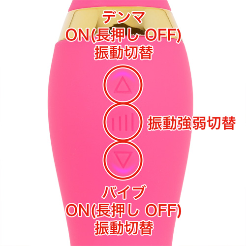 噂のデンマ×バイブ画像4