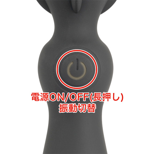 PINDEN ピンデン画像4