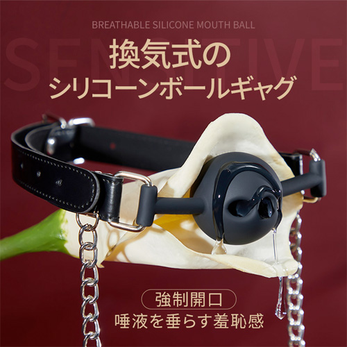 絶対服従 穴あきタイプ チェーン付き ボールギャグ SMグッズ画像4