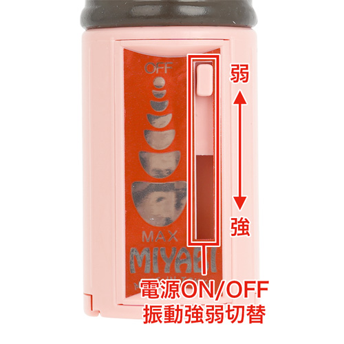 イッキーナ画像4