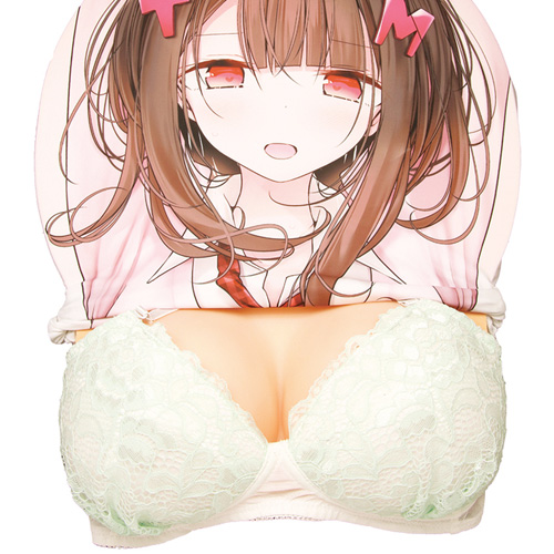 おっぱいボードカバー用ブラジャー画像7