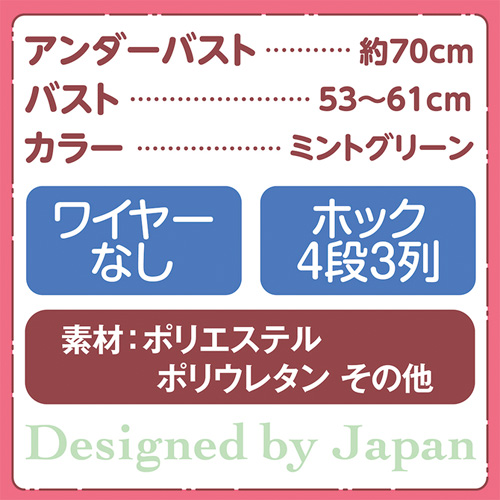おっぱいボードカバー用ブラジャー画像2