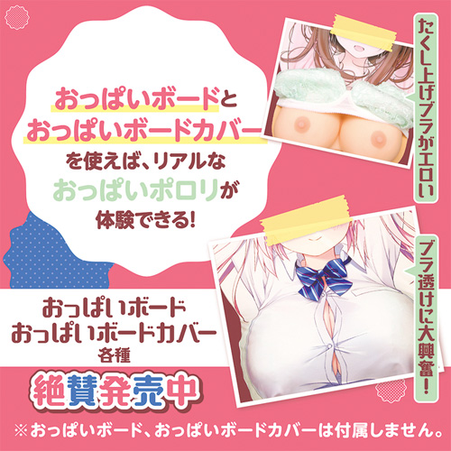 おっぱいボードカバー用ブラジャー画像3