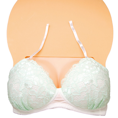 おっぱいボードカバー用ブラジャー画像5