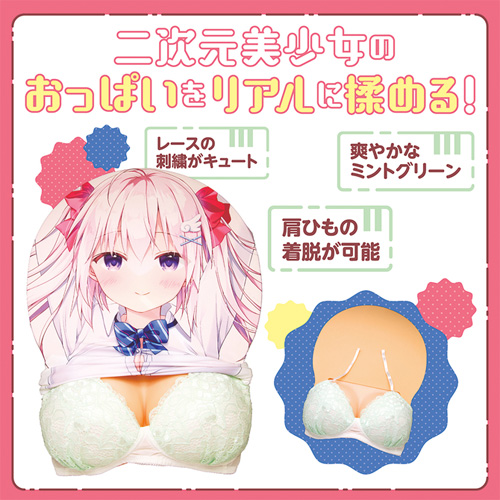 おっぱいボードカバー用ブラジャー画像4