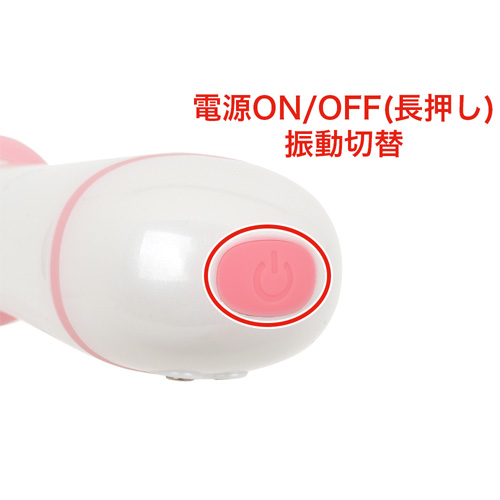 プチデンマ画像5
