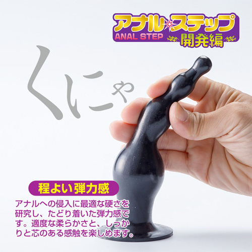 アナルステップ 開発編画像3