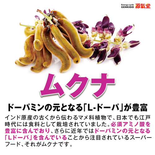 HAGANE SUPER HARD画像7