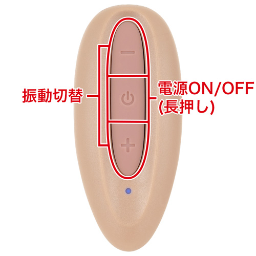 極天 kiwami ten rotor hishi 菱画像5