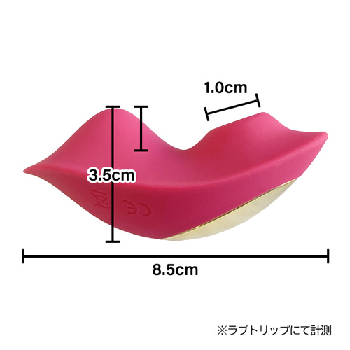 seQret R シークレットローター画像3